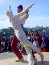 Pied en Sol - Fabula Ficta